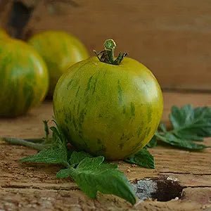 Green Zebra Tomato Seeds – Striped Heirloom Variety with Tangy Flavor - Dharaseeds