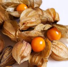 Ground Cherries Vegetable Seeds for Planting - 100 Pcs pcs - Dharaseeds