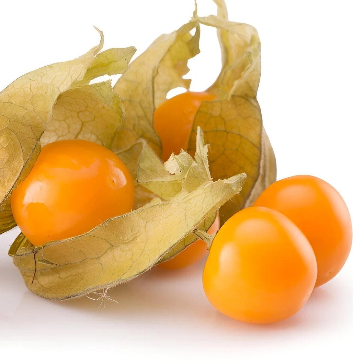Ground Cherry heirloom seeds for organic gardening