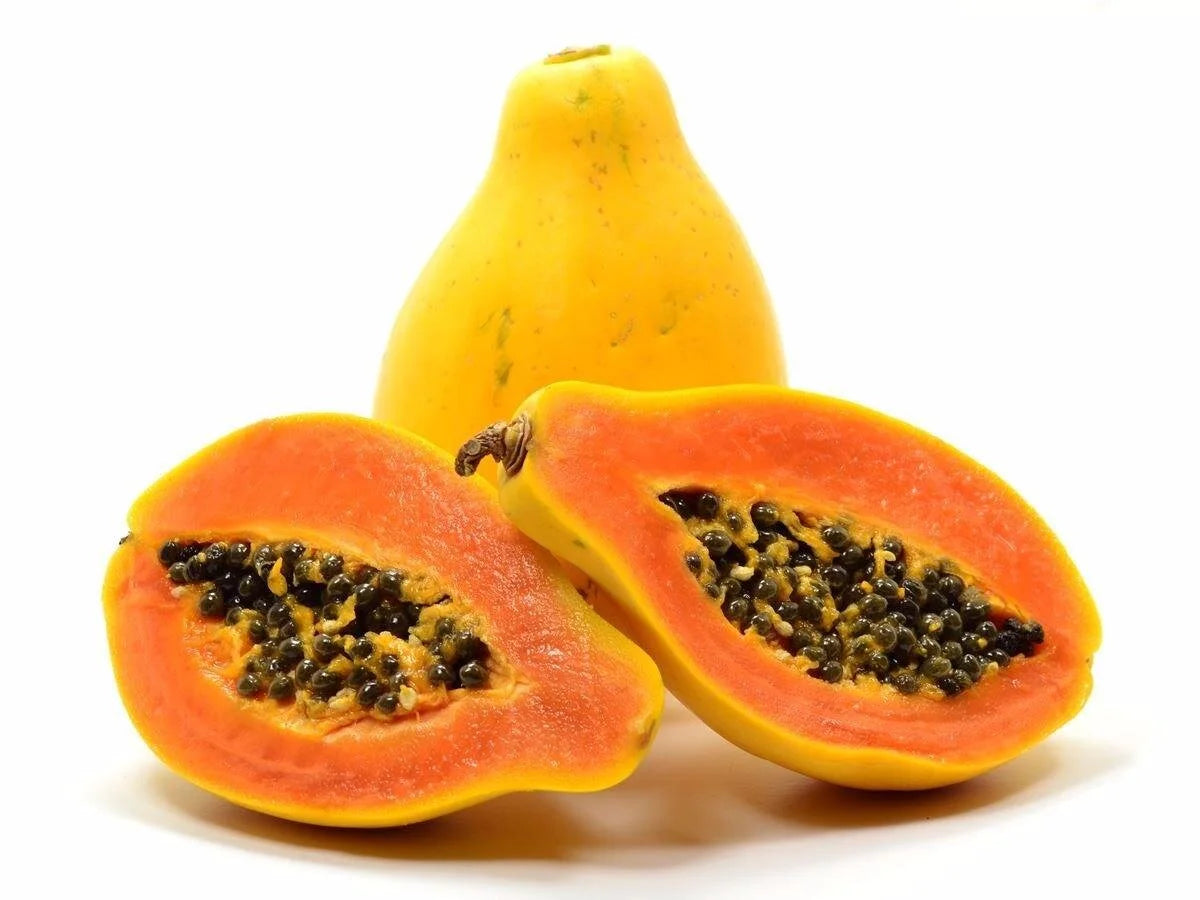 Grow Hawaiian Rainbow Papaya tree from Non-GMO seeds