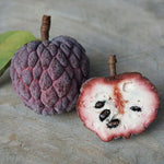 Grow Purple Cherimoya seeds to produce sweet tropical fruit