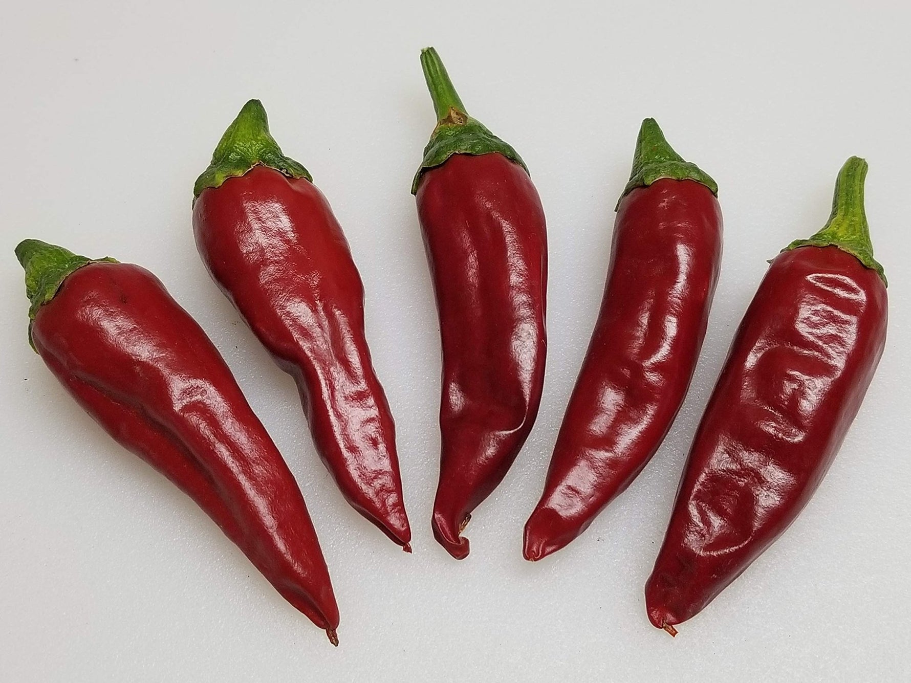 Guajillo pepper Capsicum annuum New Mexico heirloom vegetable seeds for planting in warm kitchen gardens - Dharaseeds