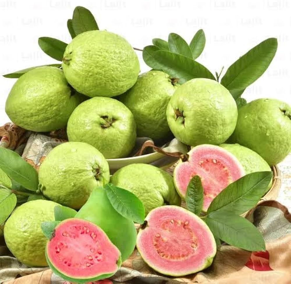 Non GMO guava seeds for home gardening and backyard orchard