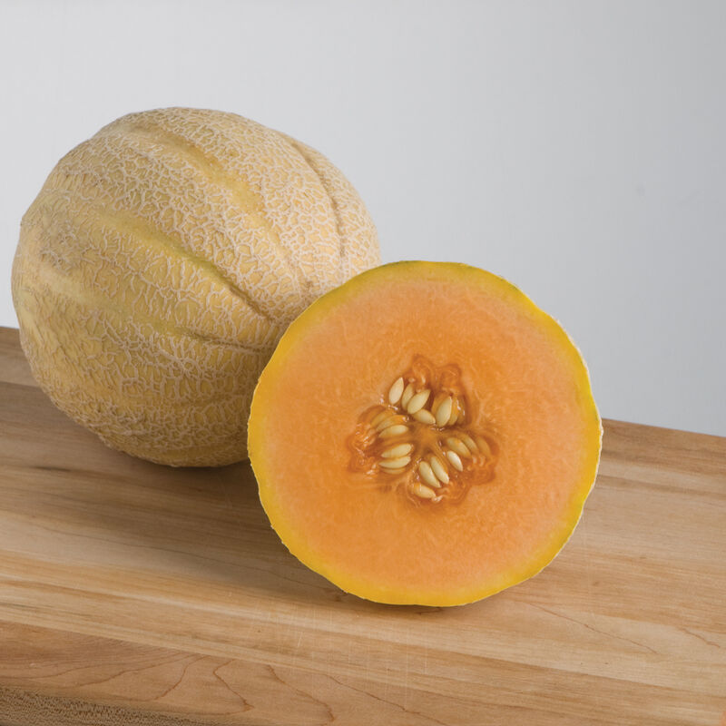 Halona hybrid melon seeds for planting high yield garden variety