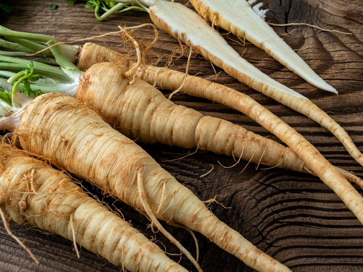 Hamburg Rooted Parsley Seeds for Cooking and Garden Use