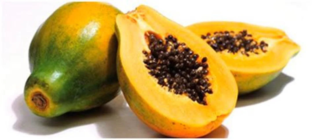 Hawaiian Rainbow Papaya seeds for planting in backyard garden