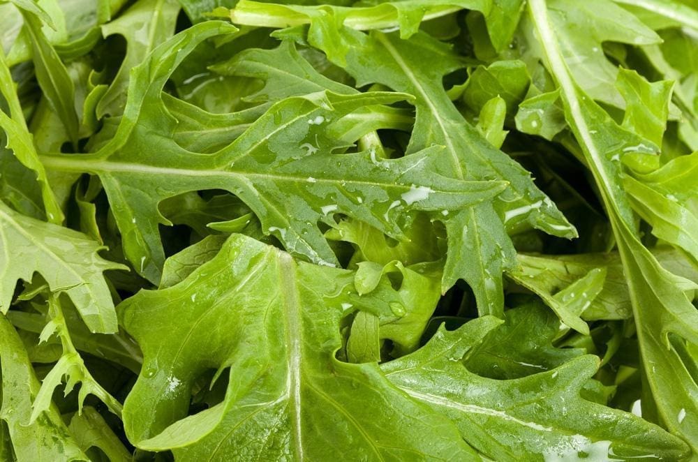 Heirloom Asian greens mix seeds for gardening organic non GMO