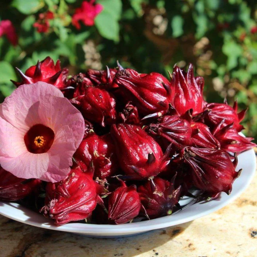 Belchanda Tengamora Vegetable Seeds – Traditional Heirloom Variety