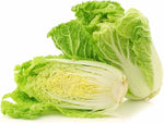 Heirloom Chinese cabbage seeds Kaboko variety for home garden