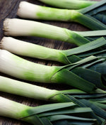 Heirloom Zermatt leek seeds for vegetable garden cultivation