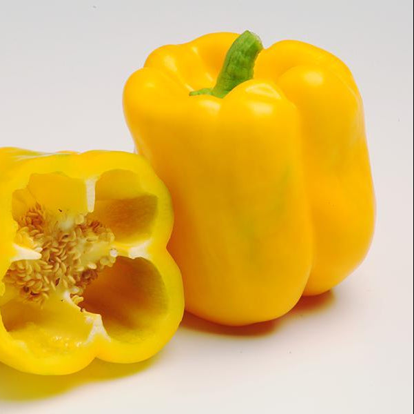 Heirloom Admiral Hybrid Pepper Seeds for Home Gardening