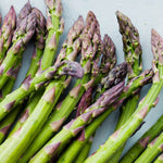 Heirloom Non-GMO Purple Asparagus Seeds for home garden