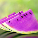 Heirloom purple flesh watermelon sliced showing rich color