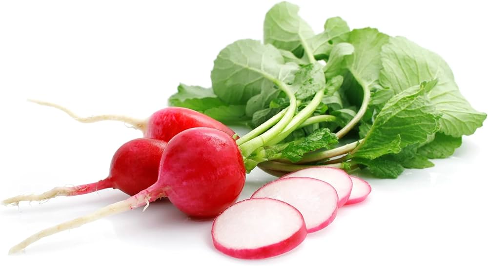 Heirloom Scarlet Globe Radish Seeds – Fast - Growing Crisp Root Vegetables - Dharaseeds