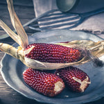 Heirloom strawberry popcorn seeds red kernel variety