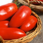 Heirloom Tomato Solanum lycopersicum vegetable seeds for planting in kitchen garden beds - Dharaseeds