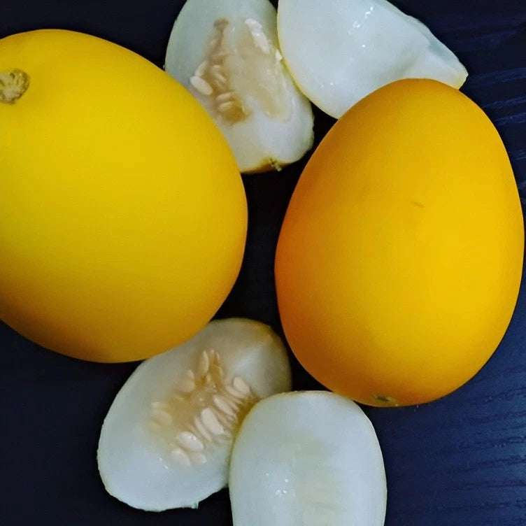 Heirloom Vine Peach Melon Seeds for Gardening Non GMO