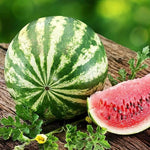 Heirloom Watermelon Seeds Citrullus Lanatus