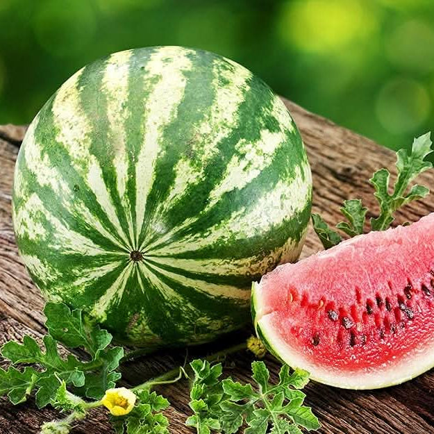 Heirloom Watermelon Seeds Citrullus Lanatus