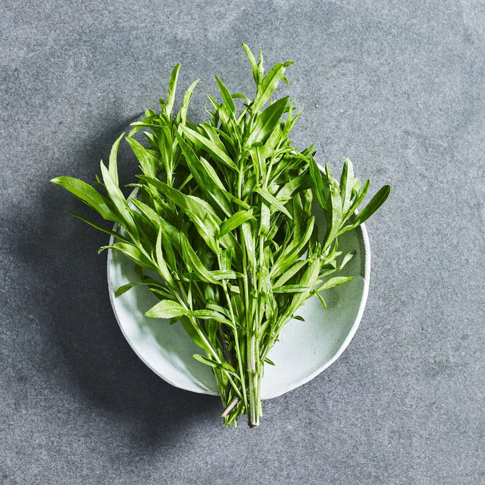 Tarragon Seeds