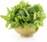 High germination Amaranthus seeds for planting