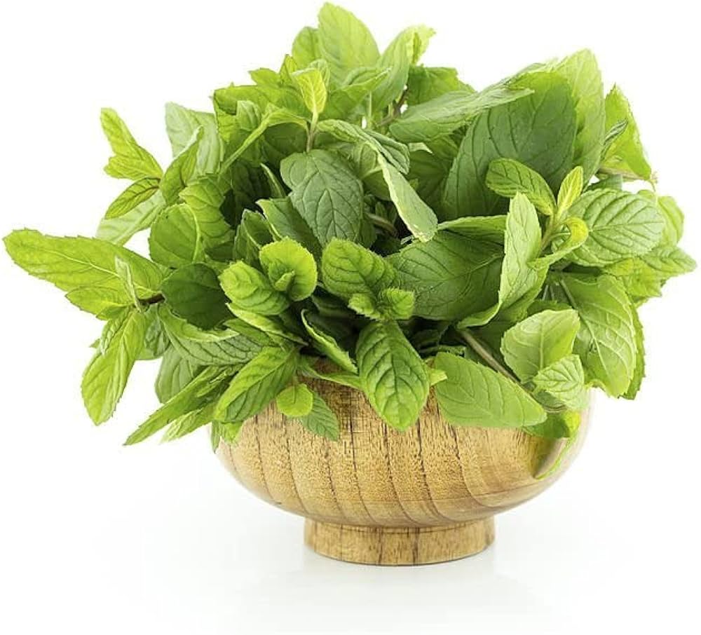 High germination Amaranthus seeds for planting