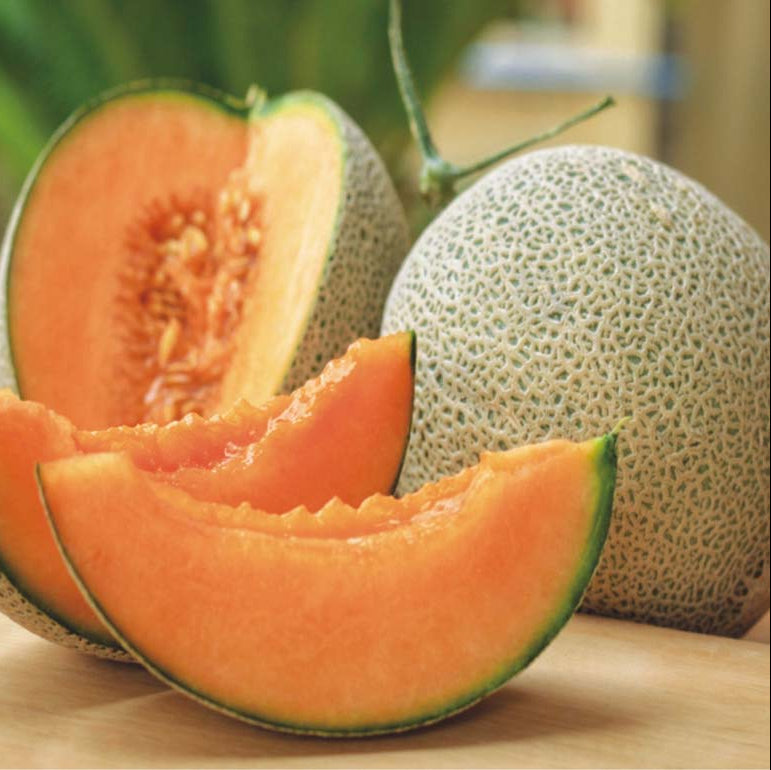High Germination Cantaloupe Fruit Seeds for Outdoor Planting