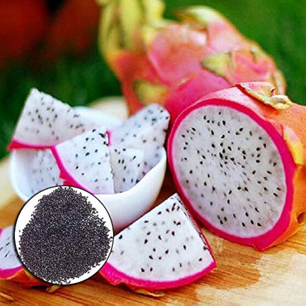 Home garden tropical pitaya dragon fruit seeds high germination