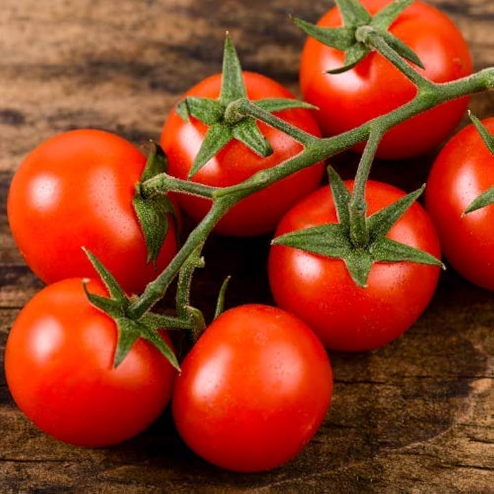 Homestead tomato heirloom variety seeds for planting in home vegetable gardens - Dharaseeds