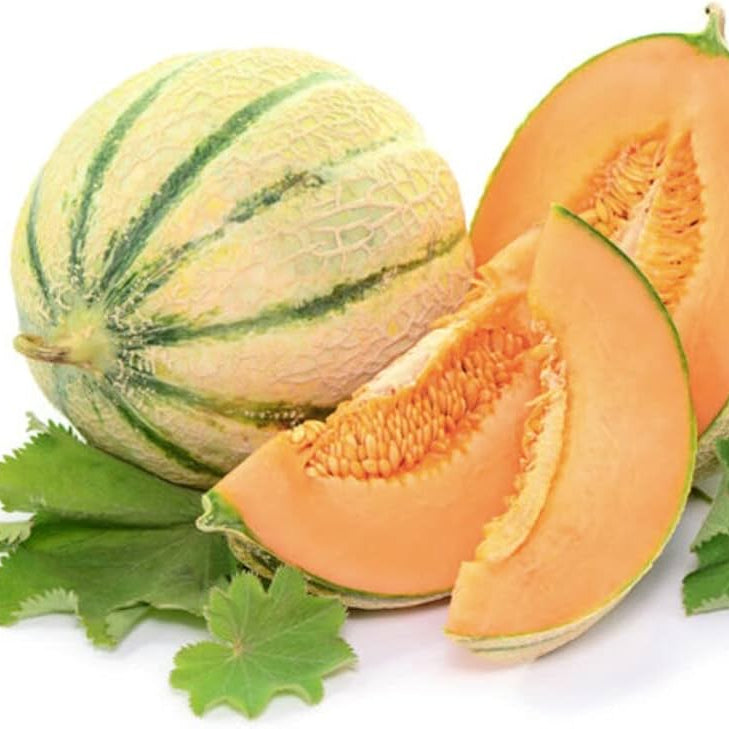 Honeydew melon seeds Cucumis melo for planting in backyard gardens