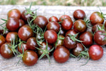 Honkin' Big Black Cherry tomato seeds Lycopersicon lycopersicum for bold sweet bites - Dharaseeds