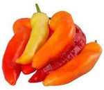 Hungarian Pepper Vegetable Seeds for Planting - 100 Pcs pcs - Dharaseeds