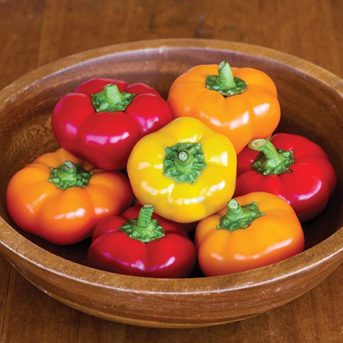 Hungarian Tomato - Shaped Pepper Seeds – Sweet and Decorative Heirloom Variety - Dharaseeds