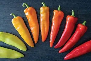 Hungarian Wax Pepper Capsicum annuum vegetable seeds for planting in vertical kitchen gardens - Dharaseeds
