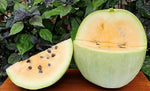 Hybrid watermelon seeds for warm climate gardens