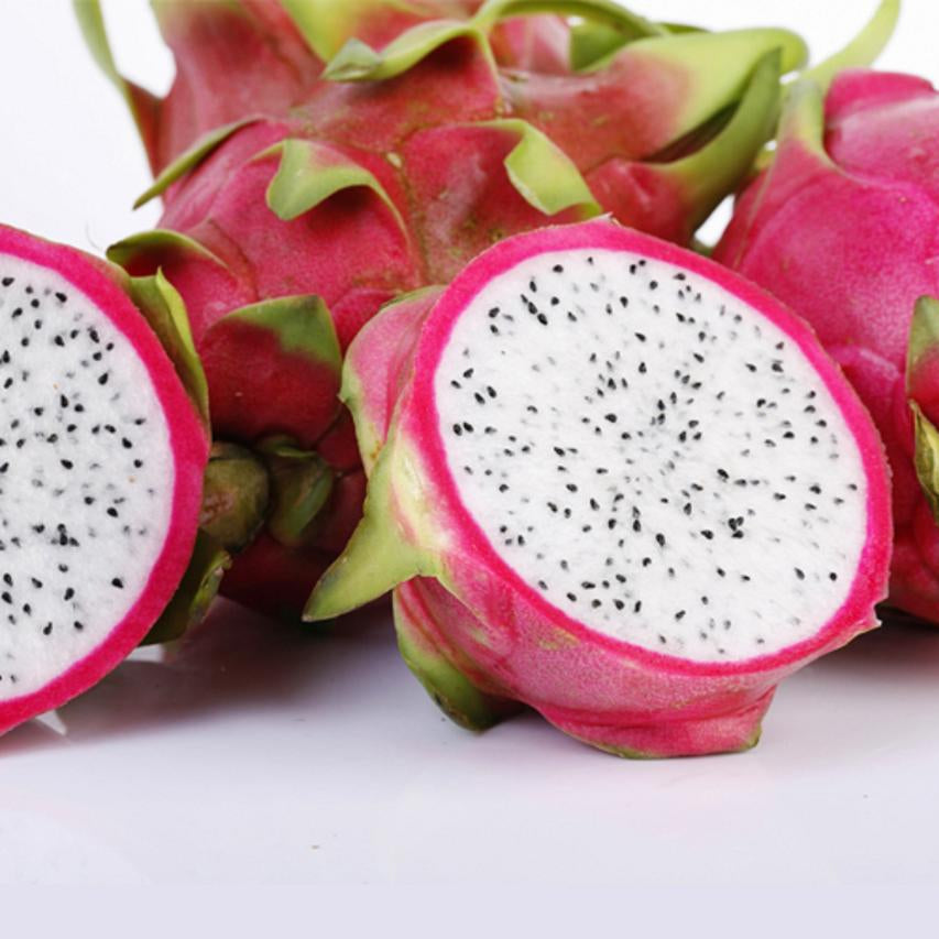 hylocereus undulatus dragon fruit seeds for planting non gmo