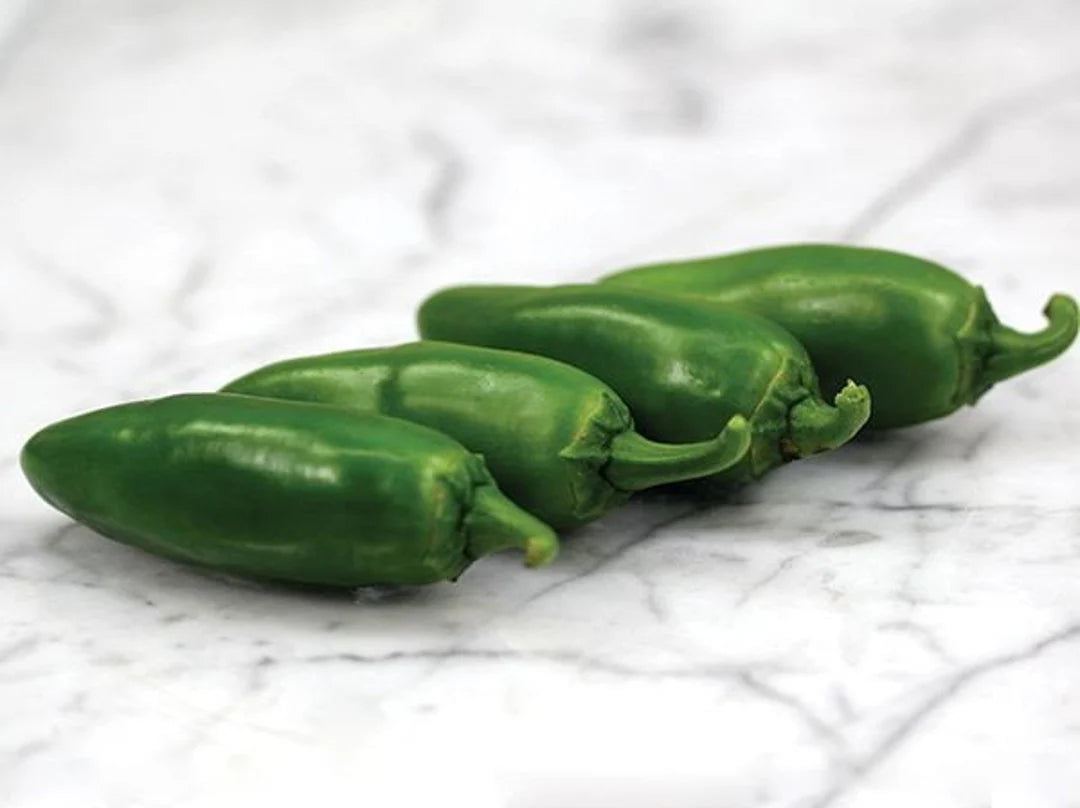 Coolapeno Heatless Jalapeno Pepper Seeds – Heirloom, Non-GMO, High Germination Organic Garden Seeds