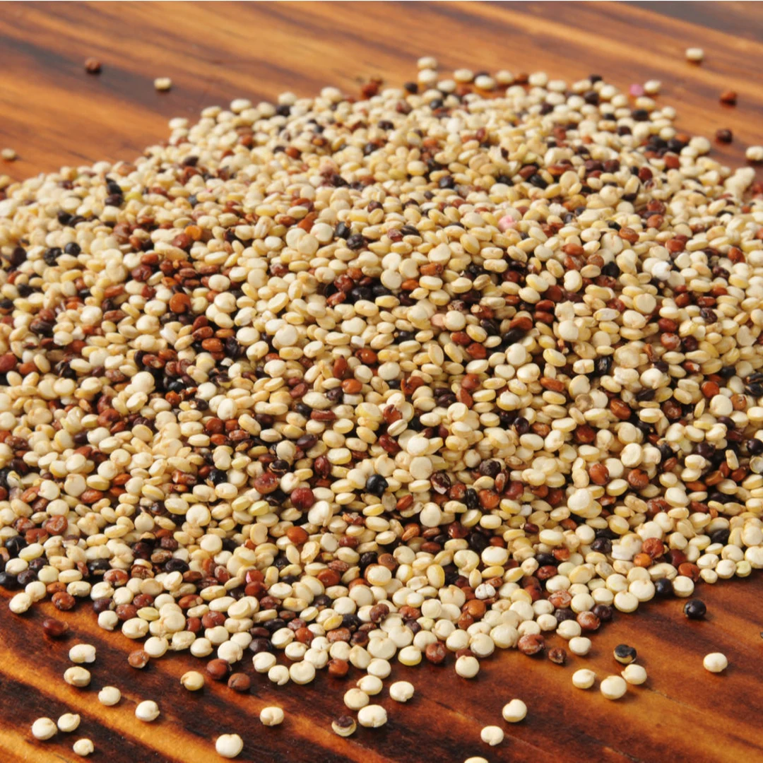 Rainbow QUINOA SEEDS Chenopodium quinoa White Red Black – Heirloom, Non-GMO, High Germination Organic Garden Seeds