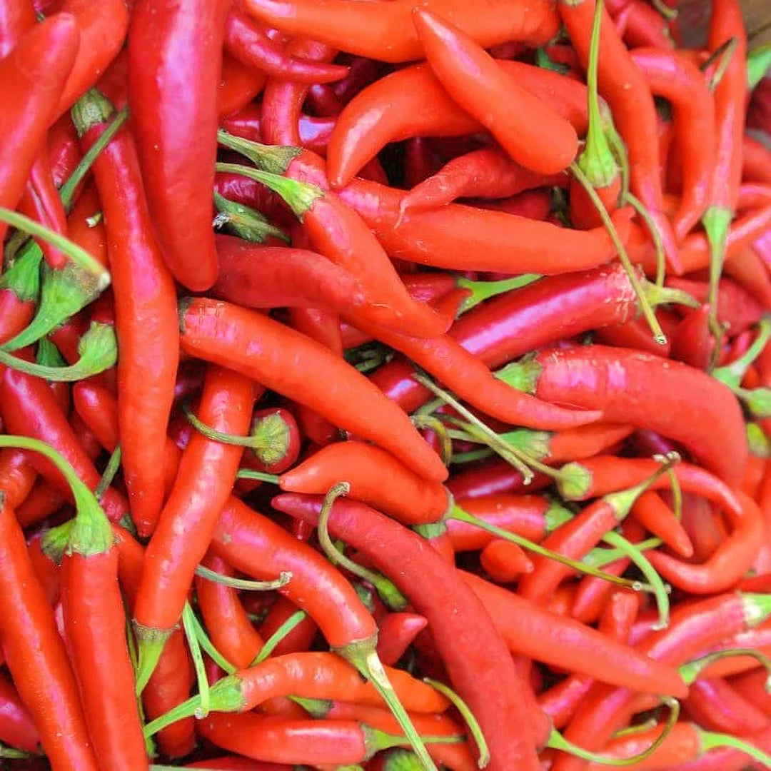 Thai Hot Pepper Seeds Heirloom Non-GMO High Germination Organic Garden Seeds