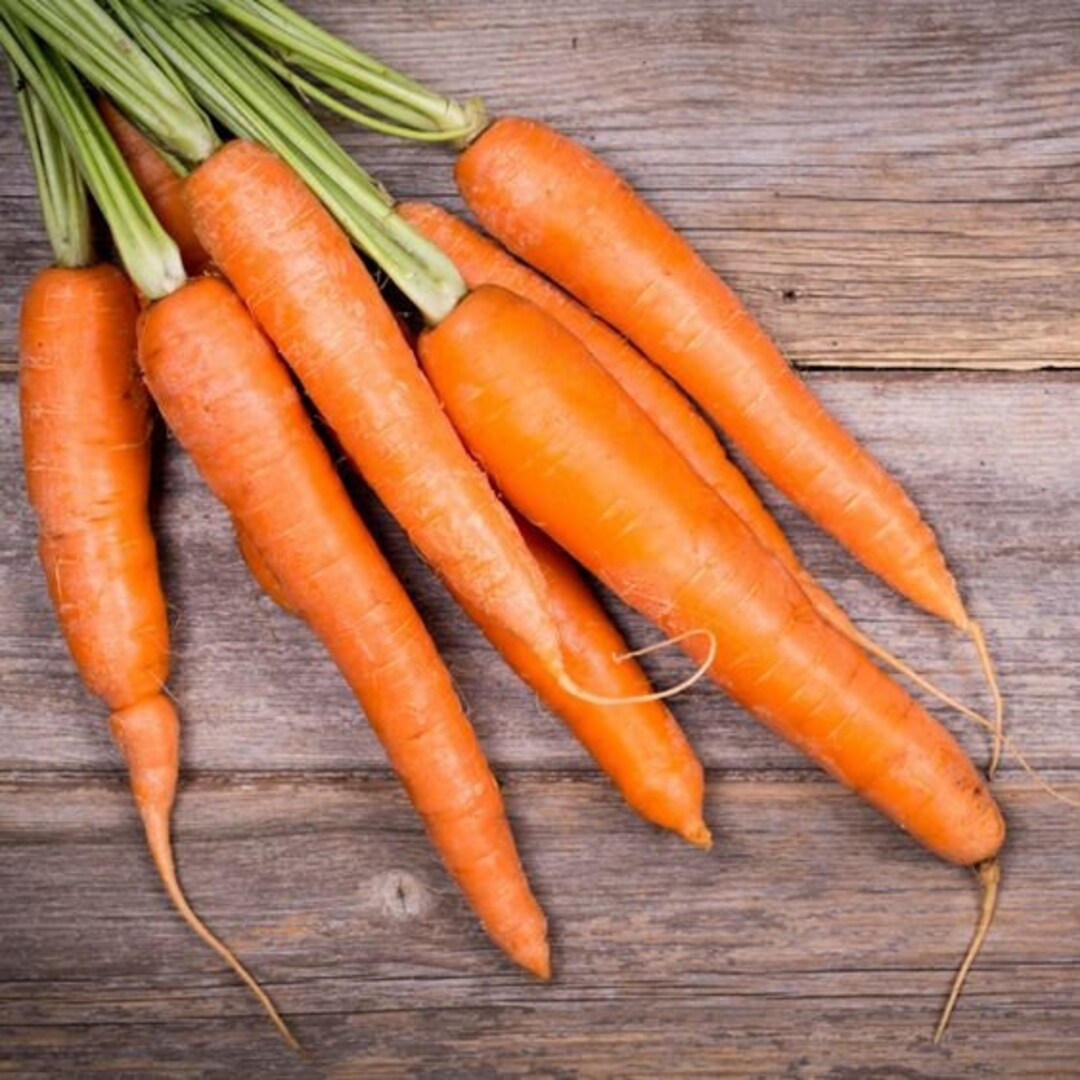 Romance Carrot Seeds Heirloom Non-GMO High Germination Organic Garden Seeds