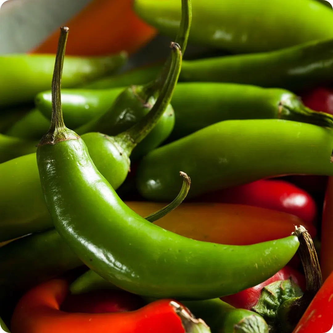 Sureno Pepper Seeds Heirloom Non-GMO High Germination Organic Garden Seeds