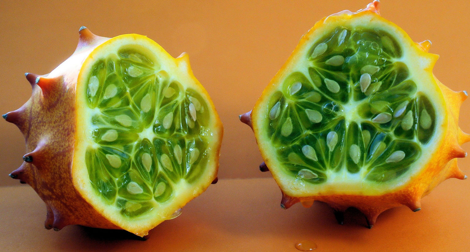 African Cucumber (Cucumis metuliferus) Seeds