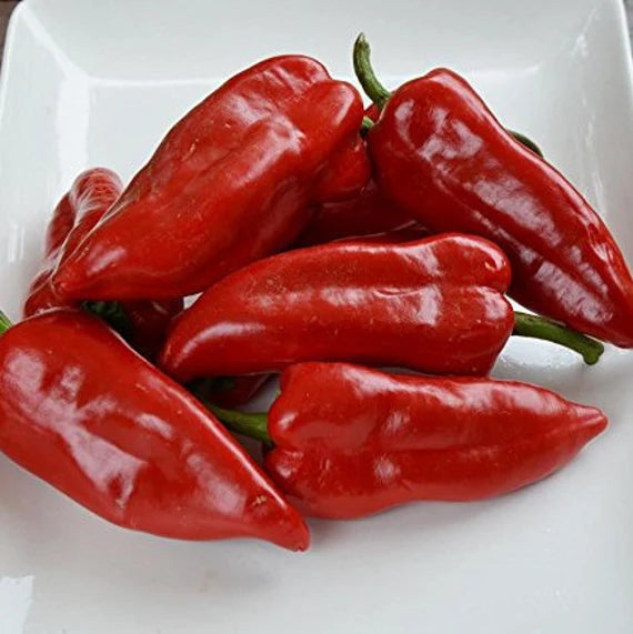 Sweet Pepper Seeds - Piquillo