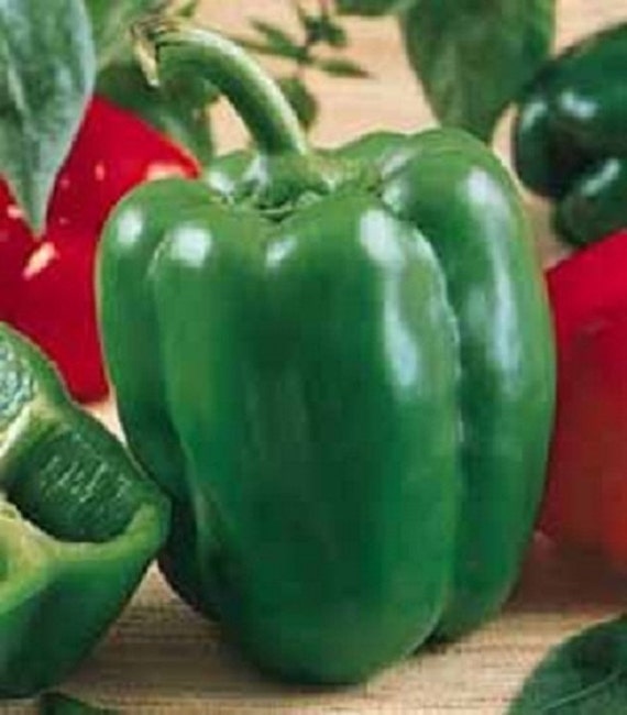 Pepper Capsicum Annuum California Wonder Sweet Vegetable Seeds for Planting – 72-Day Heirloom Variety for Kitchen Garden