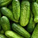 Cucumber Seeds (Organic) - Homemade Pickles