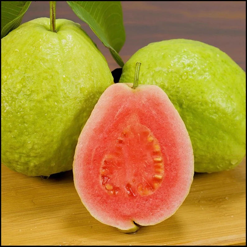 Guava Seeds - Red Psidium Guajava