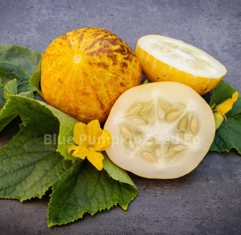 Cucumber Seeds - Lemon