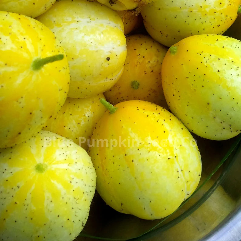 Cucumber Seeds - Lemon