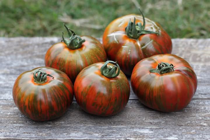 Chocolate Stripes Tomato Seeds for Planting