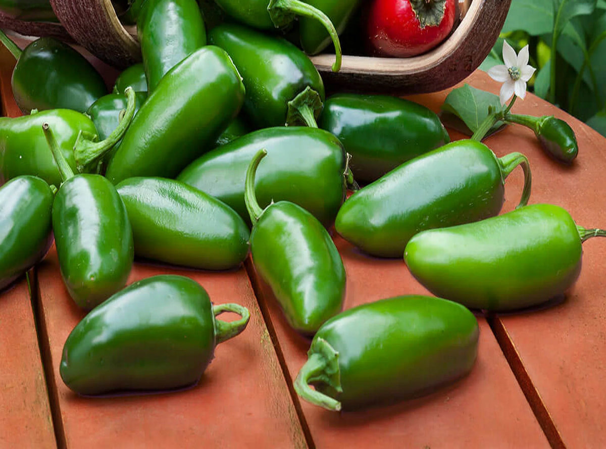 Nadapeno Heatless Jalapeno Pepper Seeds – Heirloom, Non-GMO, High Germination Organic Garden Seeds